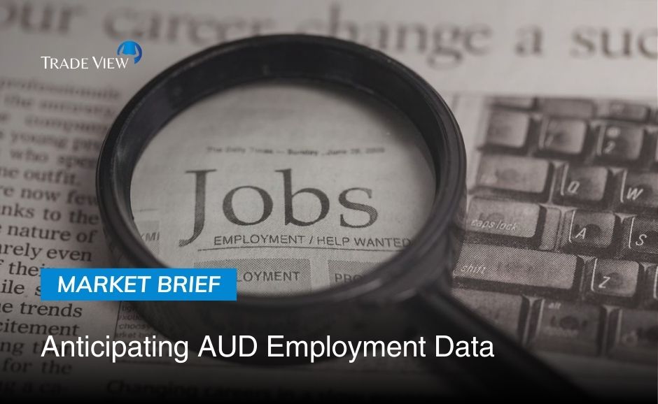 Read more about the article Anticipating AUD Employment Data