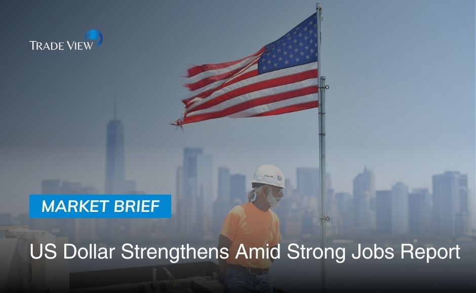 Read more about the article US Dollar Strengthens Amid Strong Jobs Report