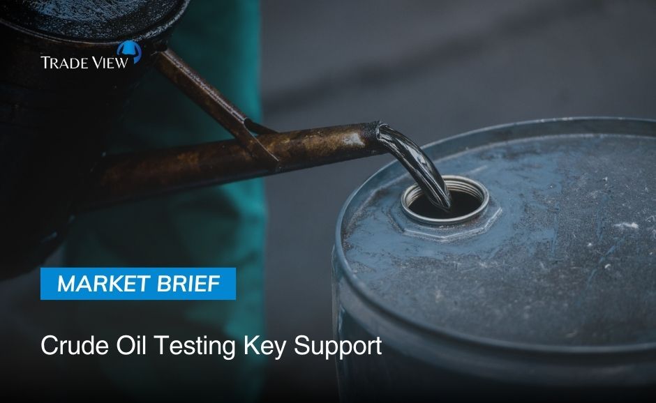 Read more about the article Crude Oil Testing Key Support Amid Geopolitical Risks and 2025 Supply Concerns